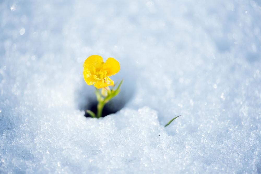 Jégtörő Mátyás – február 24. hiedelmei és időjóslása