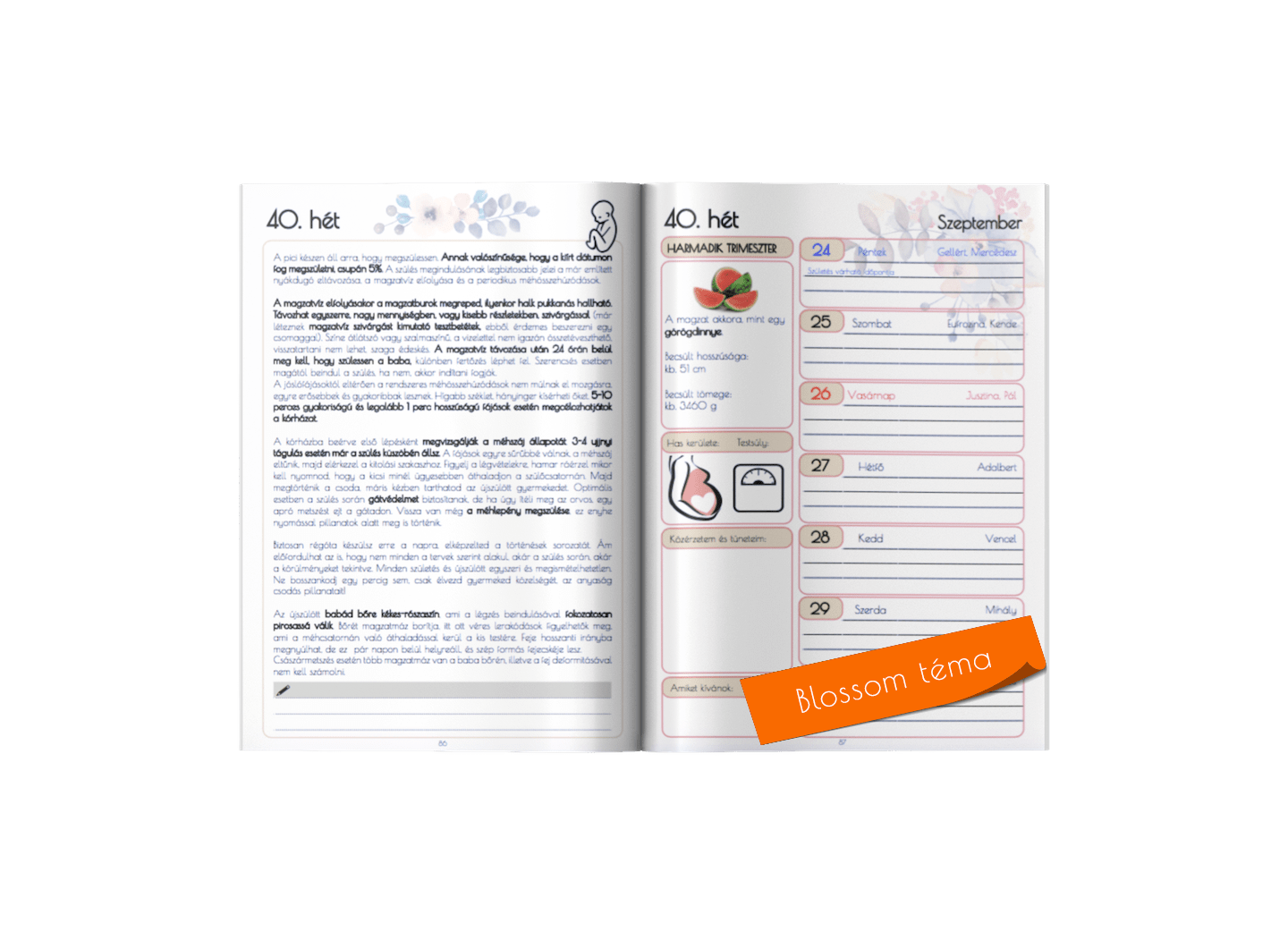 Blossom belív